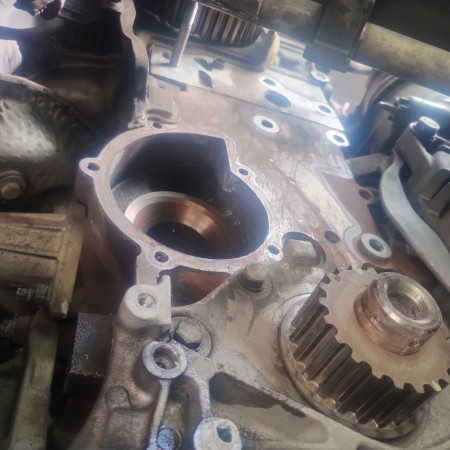 Imagen 79 de servicio