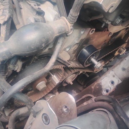 Imagen 77 de servicio