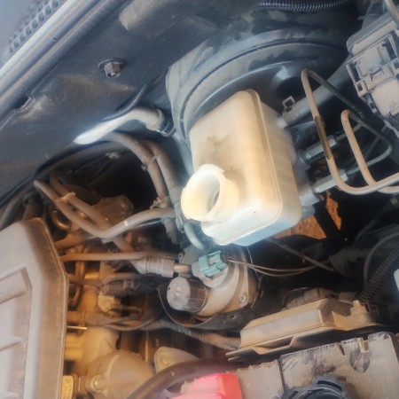 Imagen 93 de servicio