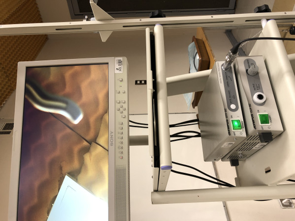 Imagen 6 de servicio