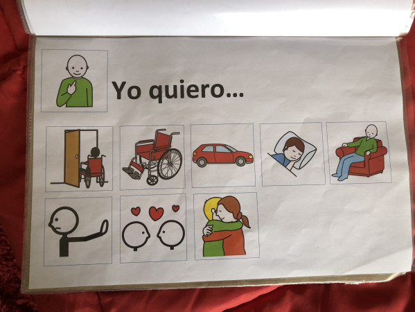 Imagen 7 de servicio