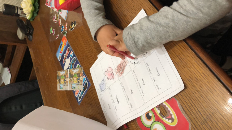 Imagen 11 de servicio