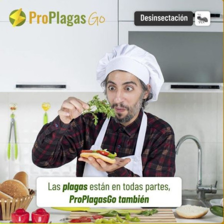 Imagen 0