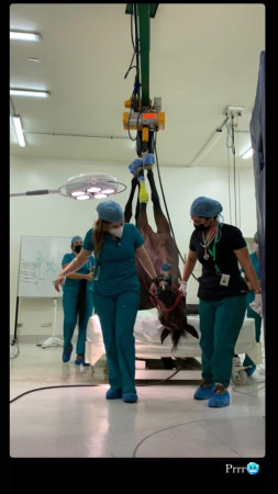 Imagen 5 de servicio