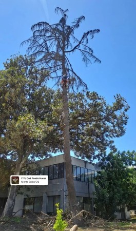 Imagen 6 de servicio