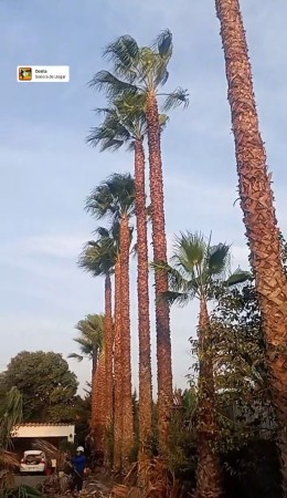 Imagen 8 de servicio