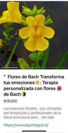 Imagen 16 de servicio