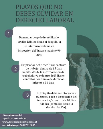 Imagen 5 de servicio