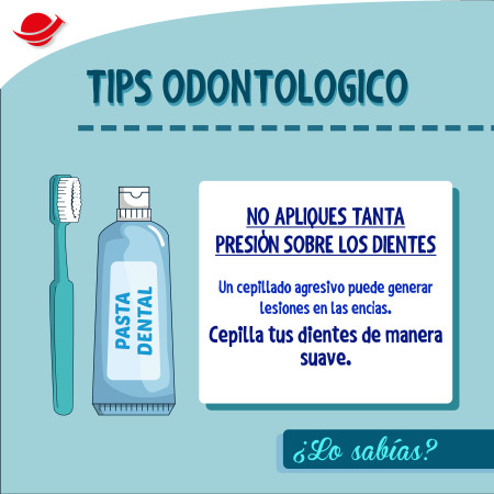 Imagen 7 de servicio