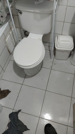 Imagen 12 de servicio