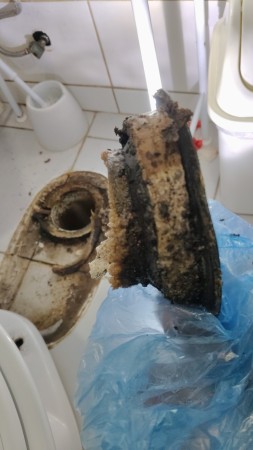 Imagen 13 de servicio