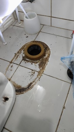 Imagen 15 de servicio