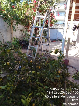 Imagen principal del servicio