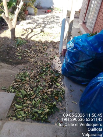 Imagen principal del servicio