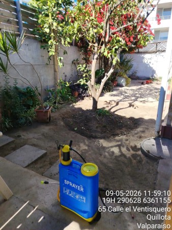 Imagen principal del servicio