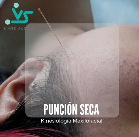Imagen principal del servicio