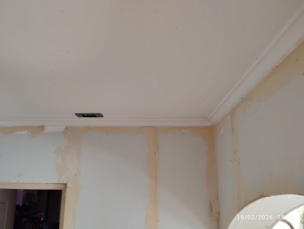 Imagen 36 de servicio