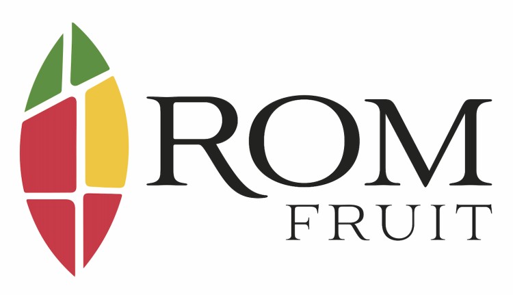 Imagen principal del servicio