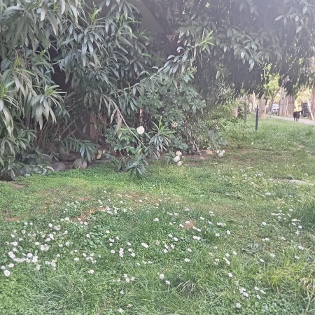 Imagen principal del servicio