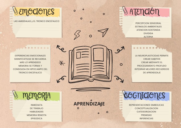 Imagen principal del servicio