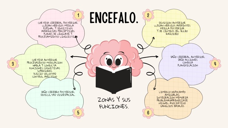 Imagen principal del servicio