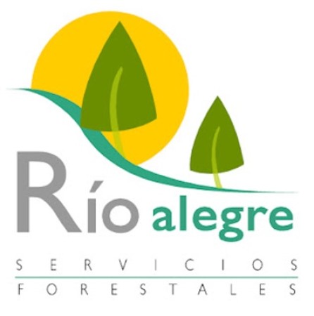 Imagen 17 de servicio