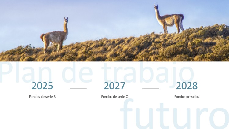 Imagen 29 de servicio