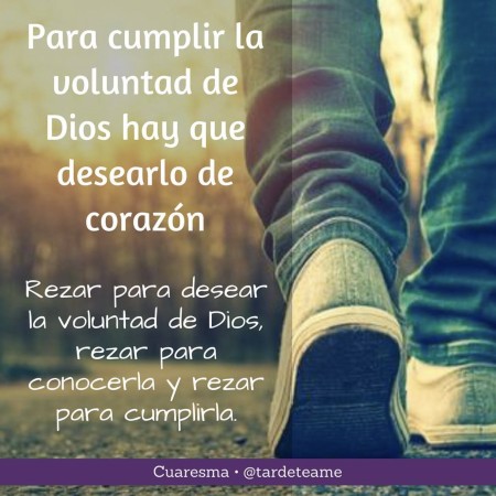 Imagen 52 de servicio