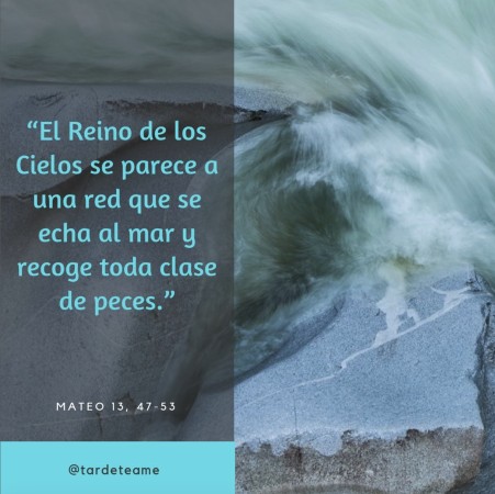 Imagen 53 de servicio
