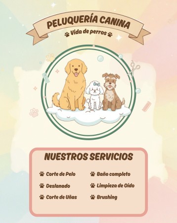Imagen principal del servicio