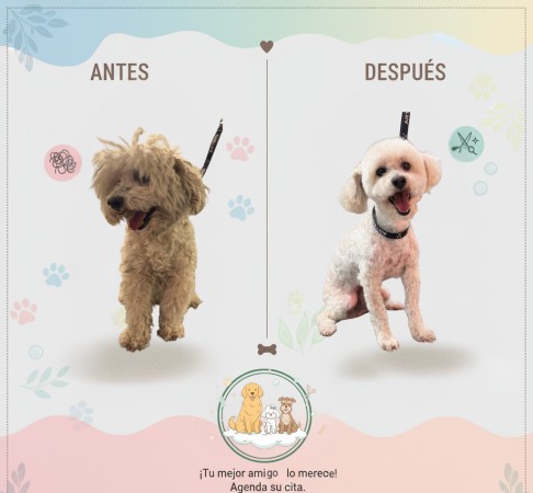 Imagen principal del servicio