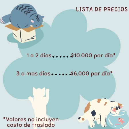 Imagen principal del servicio