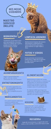 Imagen principal del servicio