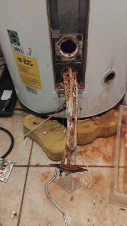 Imagen principal del servicio
