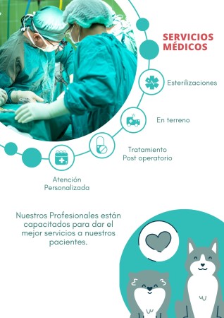 Imagen principal del servicio