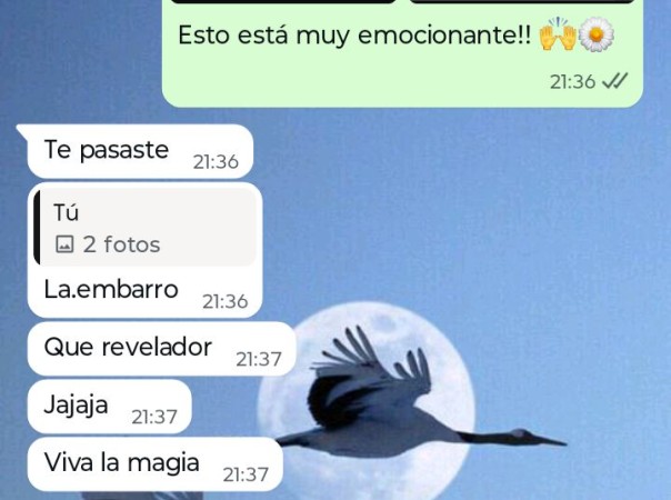 Imagen 0