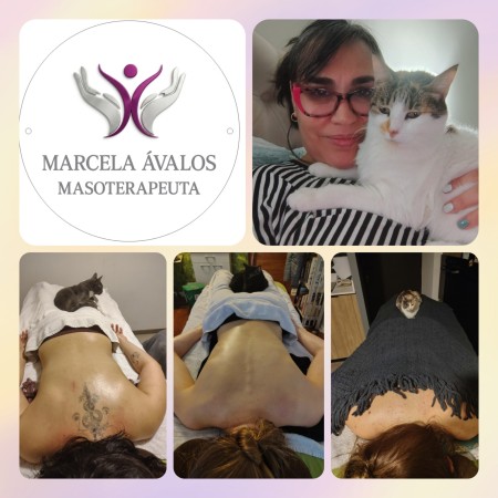 Imagen 12 de servicio
