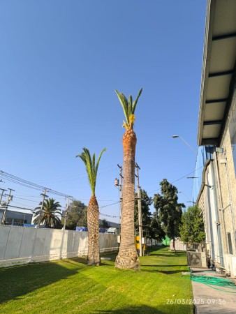 Imagen principal del servicio