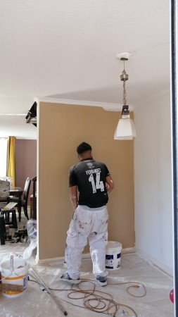 Imagen 8 de servicio