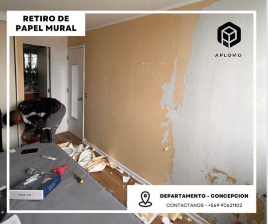 Imagen 8 de servicio