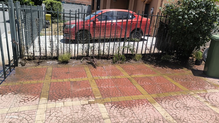 Imagen 5 de servicio