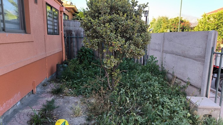 Imagen 7 de servicio