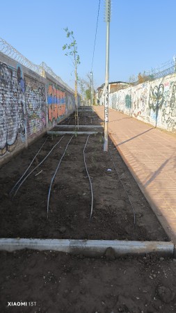 Imagen 12 de servicio