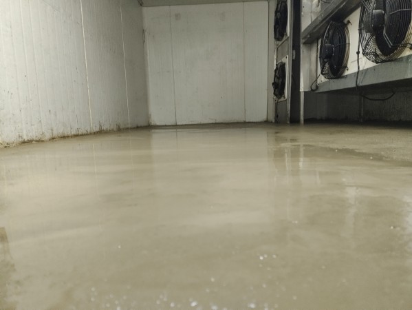 Imagen 90 de servicio