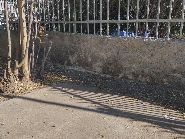 Imagen 102 de servicio