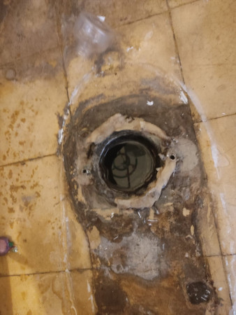 Imagen 18 de servicio