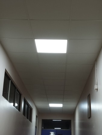 Imagen principal del servicio