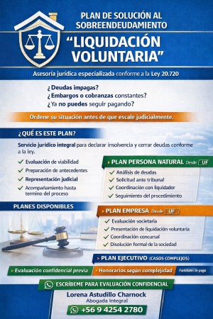 Imagen 7 de servicio