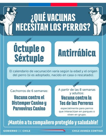 Imagen principal del servicio