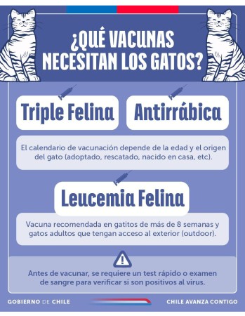 Imagen principal del servicio
